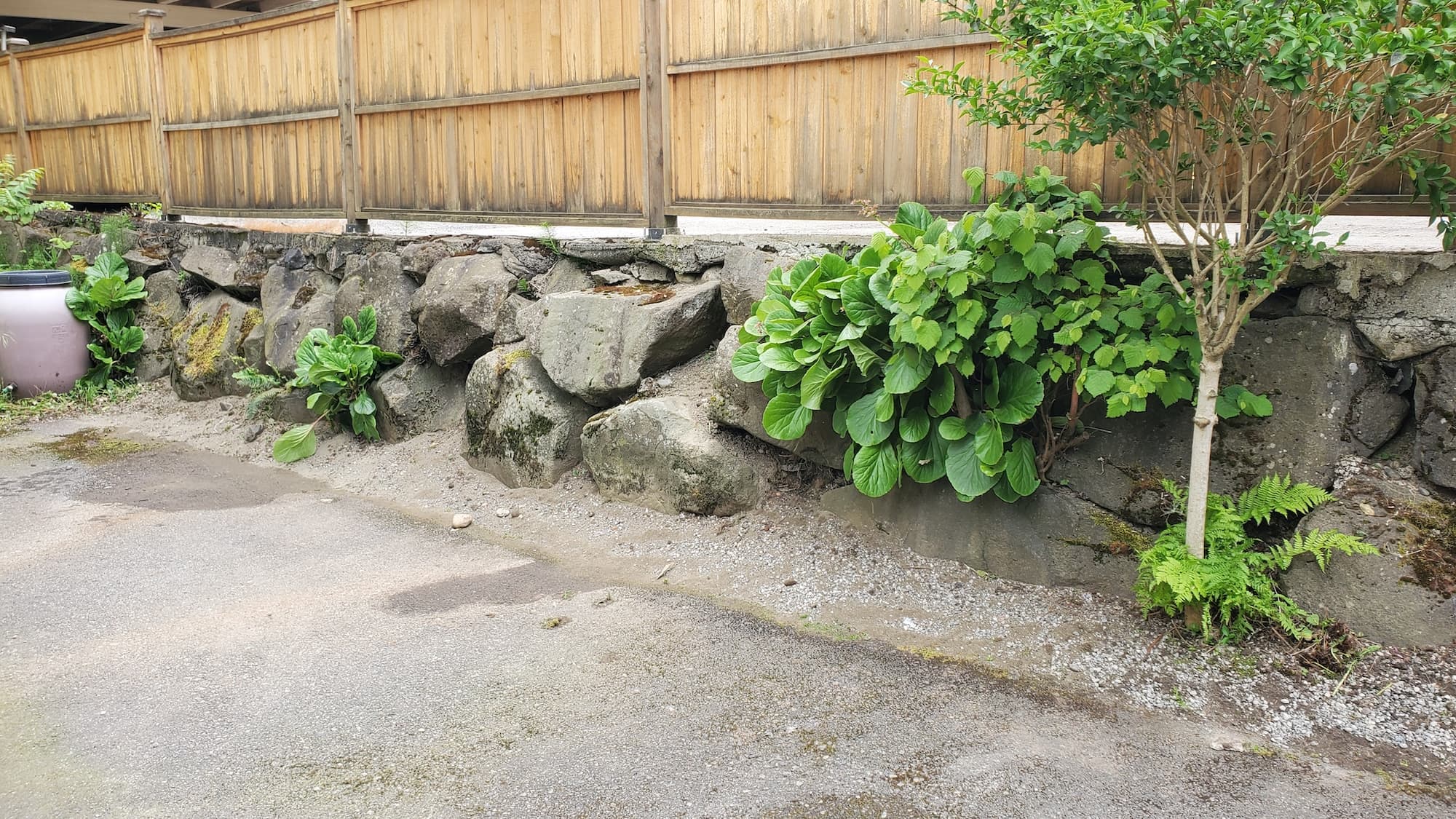 Lawn Pro - Landscaping