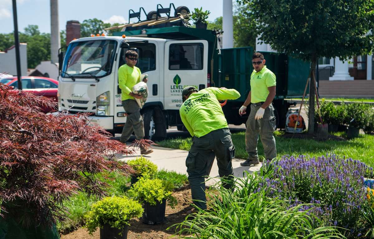 Lawn Pro - Landscaping